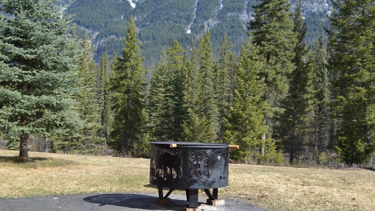 Photo of Outdoor in Golden
