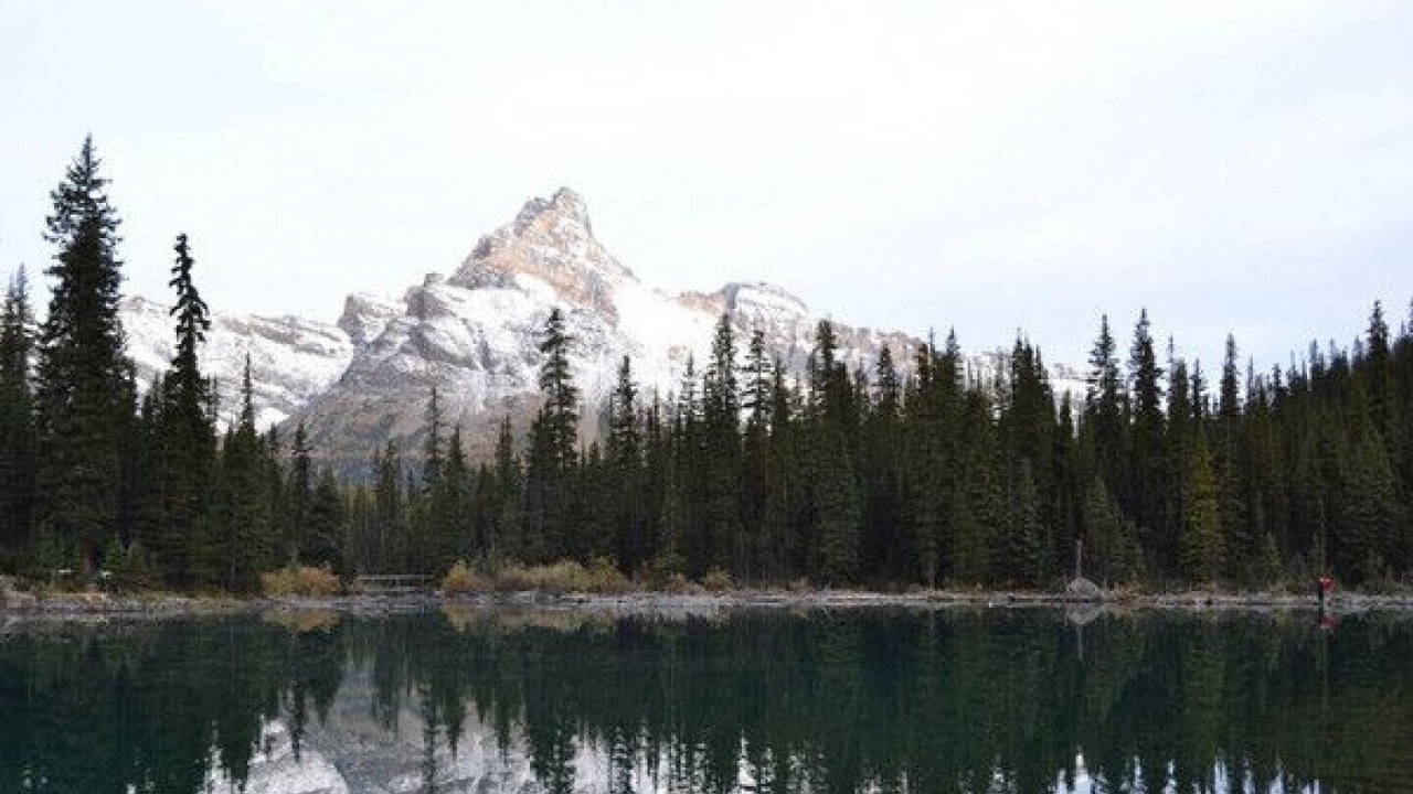 Photo of Outdoor in Golden