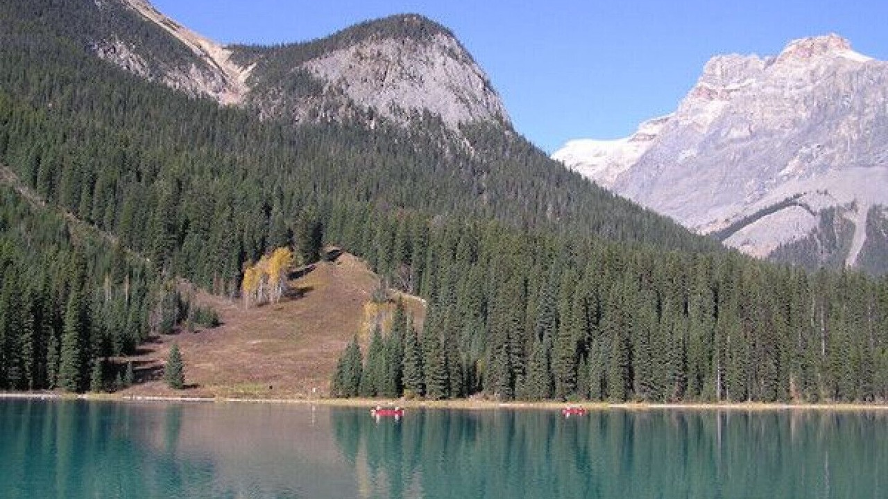 Photo of Outdoor in Golden
