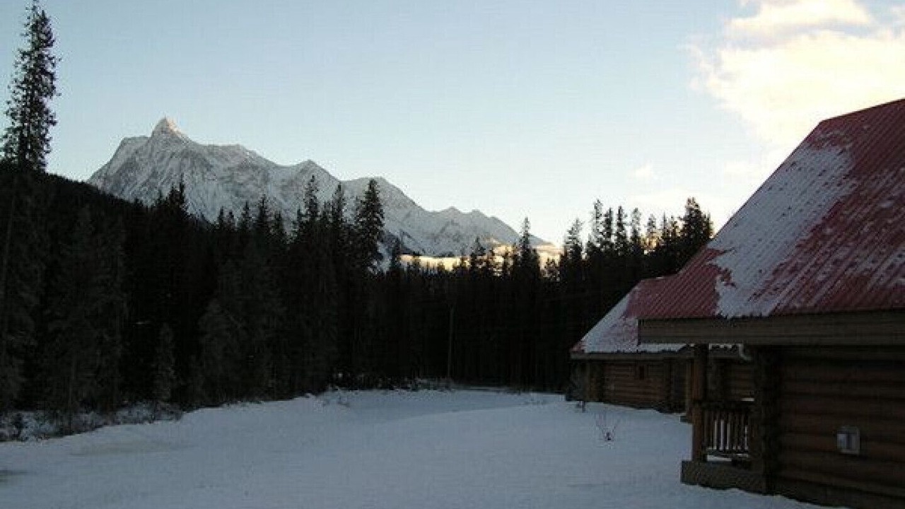 Photo of Outdoor in Golden