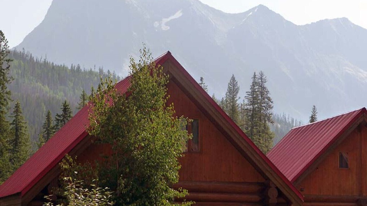Photo of Outdoor in Golden