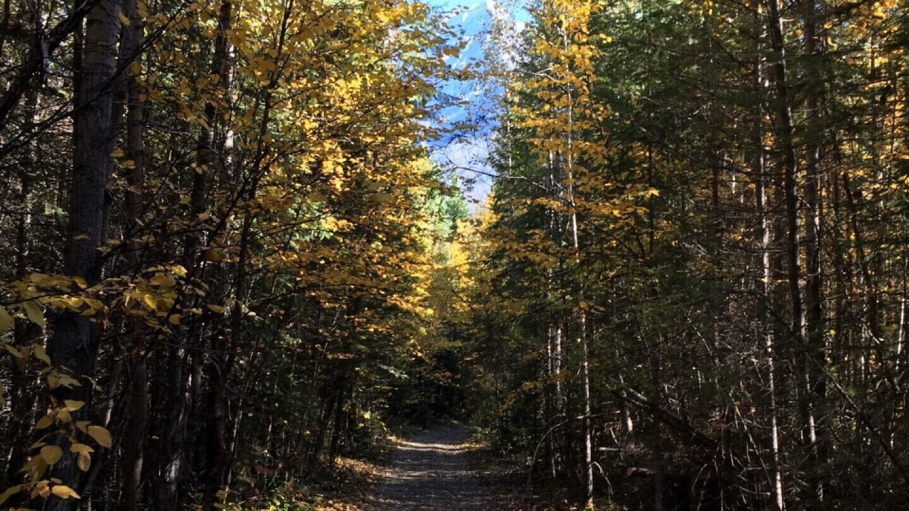 Photo of Outdoor in Golden