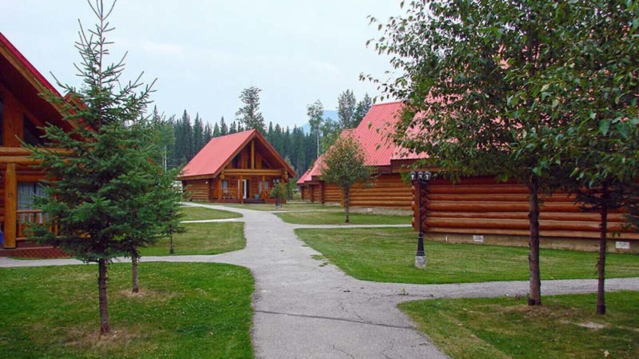Photo of Outdoor in Golden