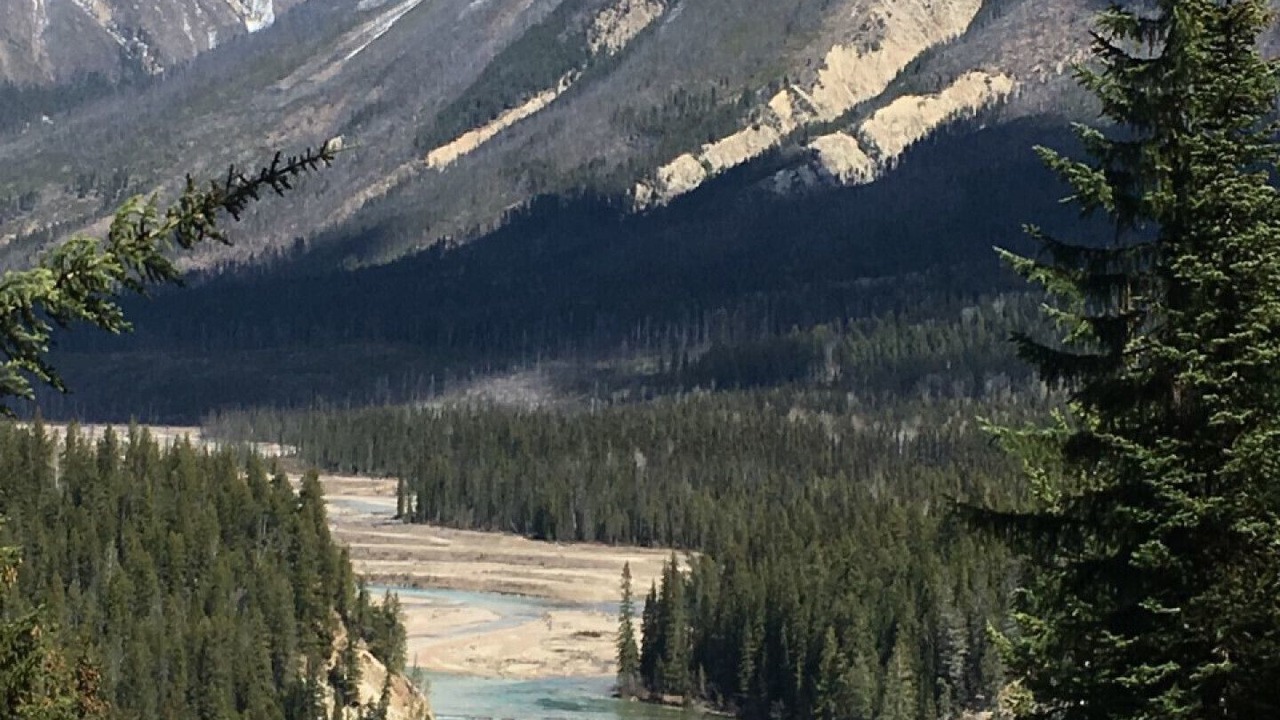 Photo of Outdoor in Golden