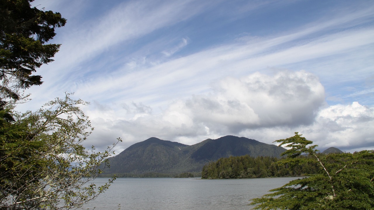 Photo of Others in Tofino