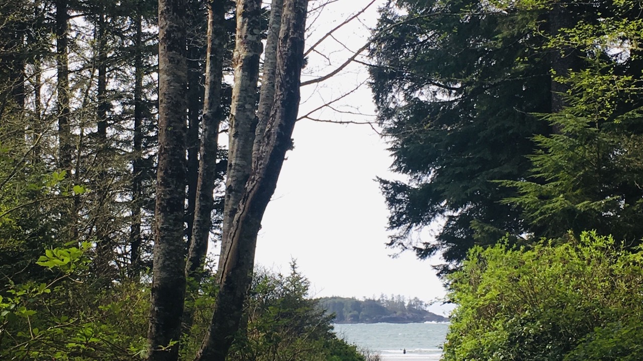 Photo of Outdoor in Tofino