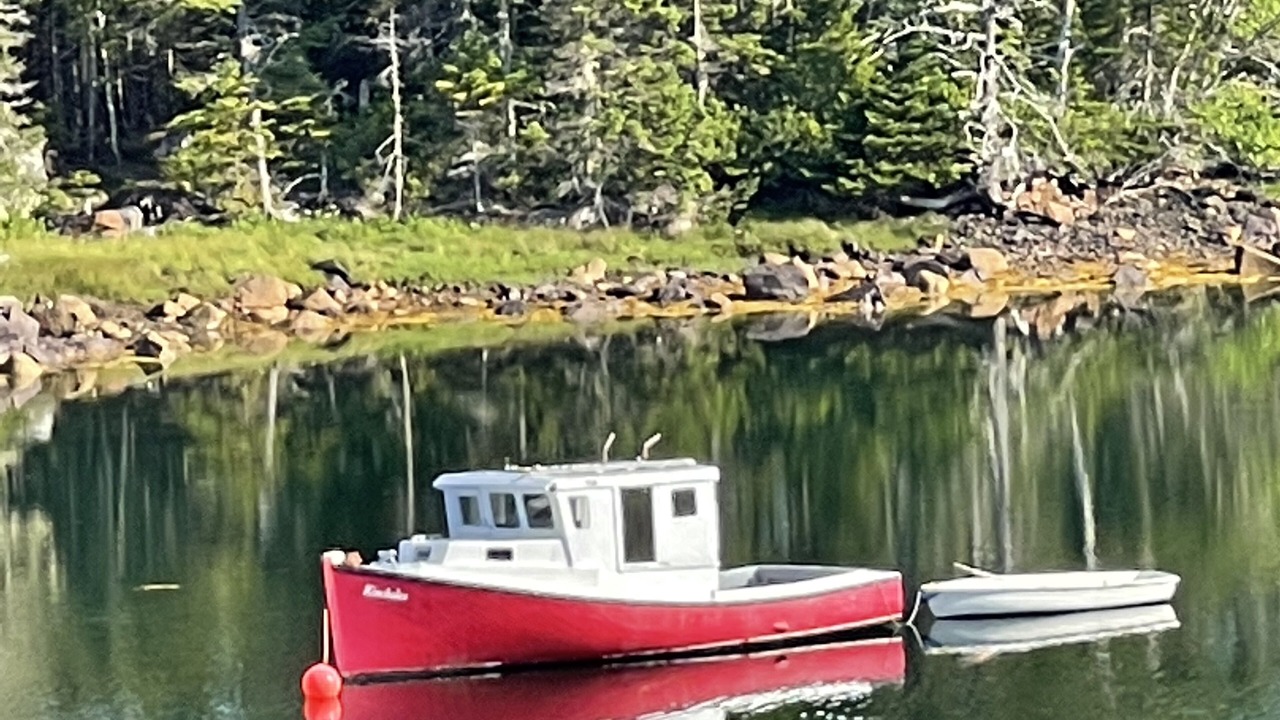 Photo of Outdoor in Upper Blandford