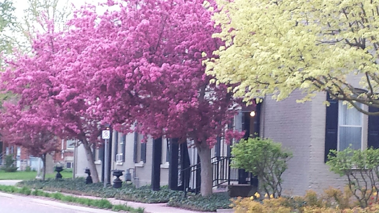 Photo of Outdoor in Stratford