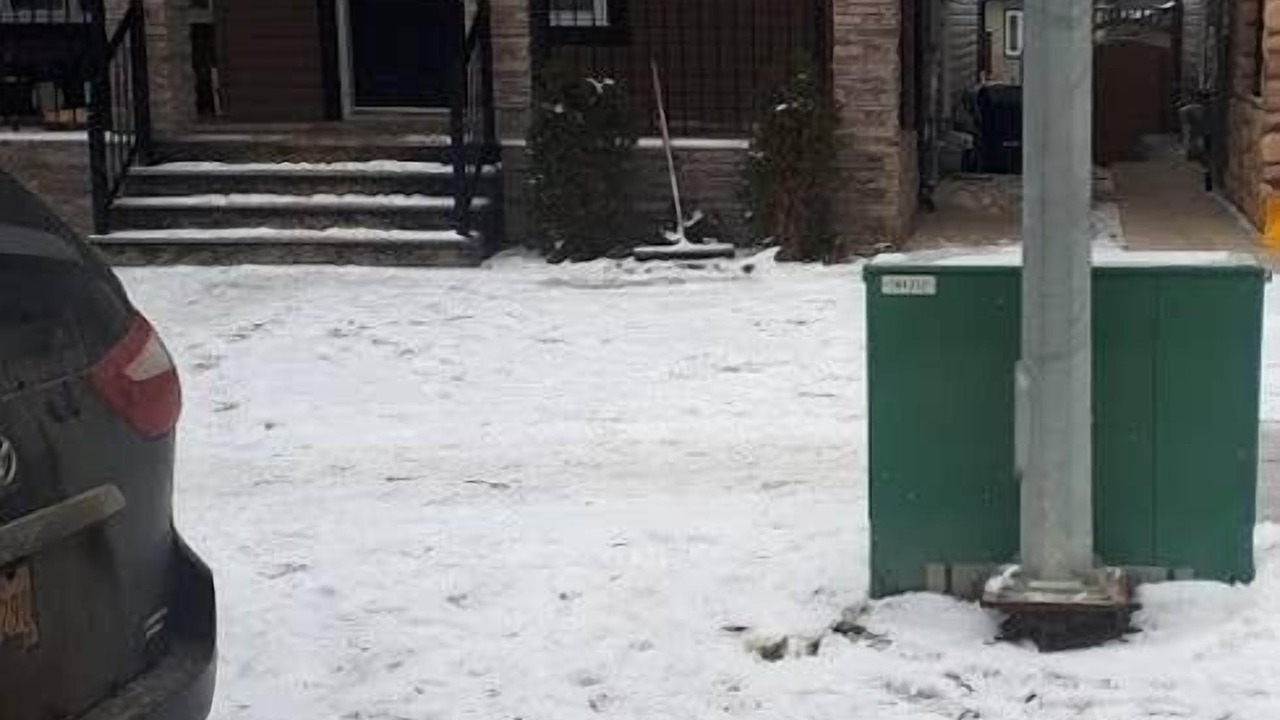 Photo of Others in Timberlea