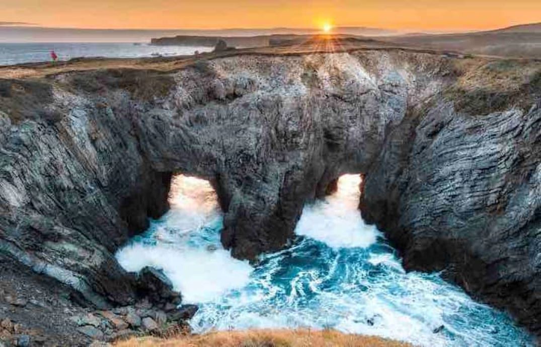 Photo of Others in Bonavista