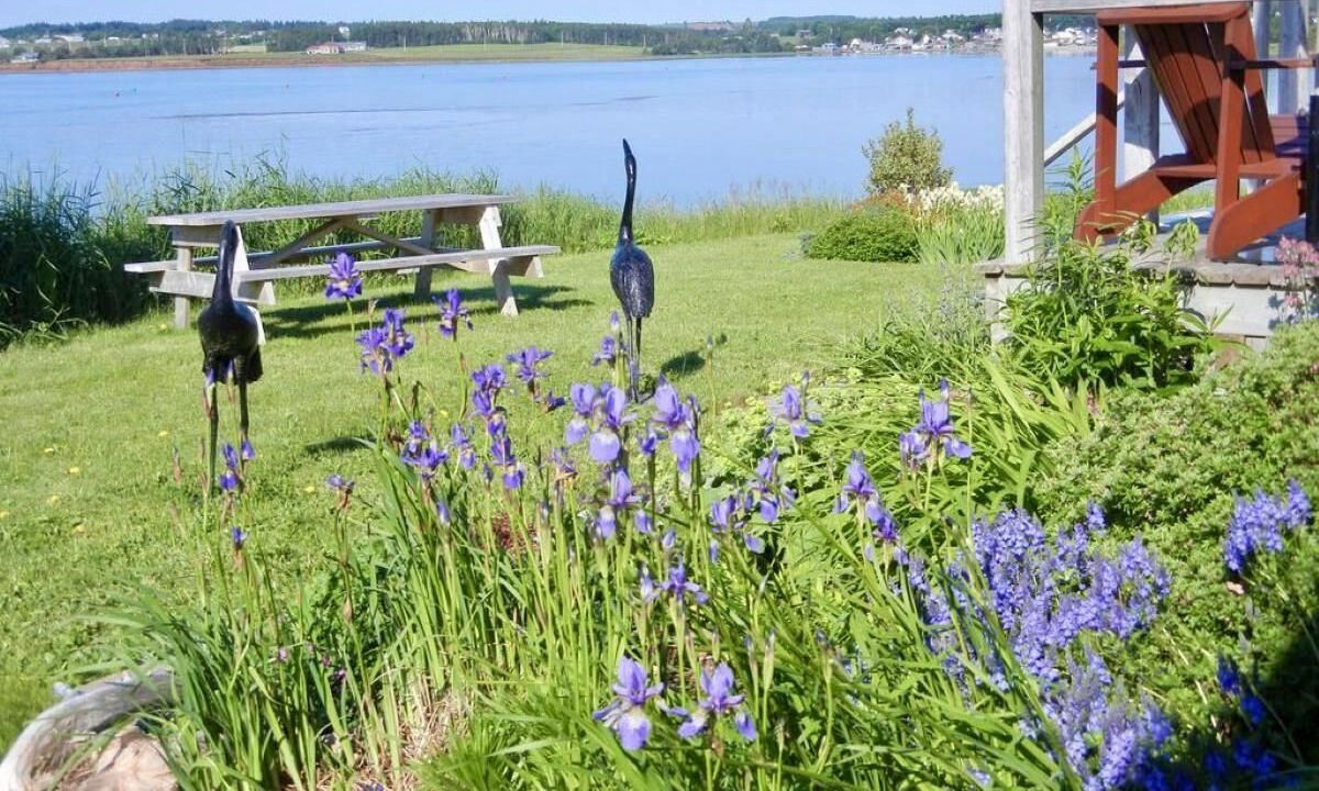 Photo of Outdoor in North Rustico