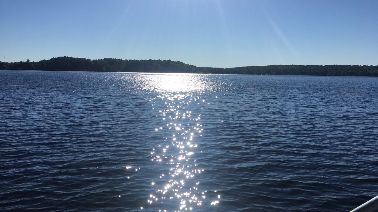 Photo of Others in Bracebridge