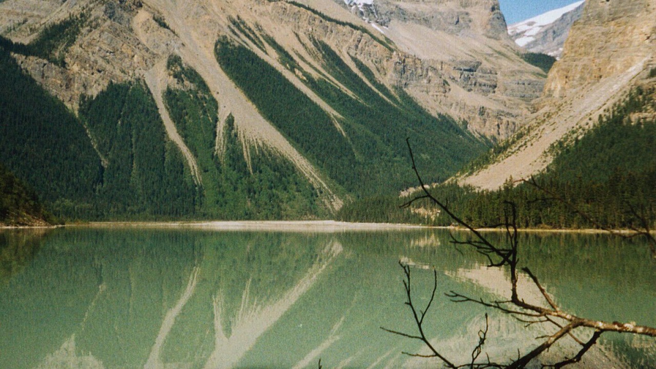 Photo of Outdoor in Tete Jaune Cache