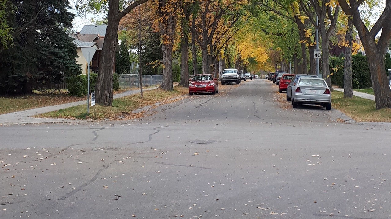 Photo of Others in Whyte ave