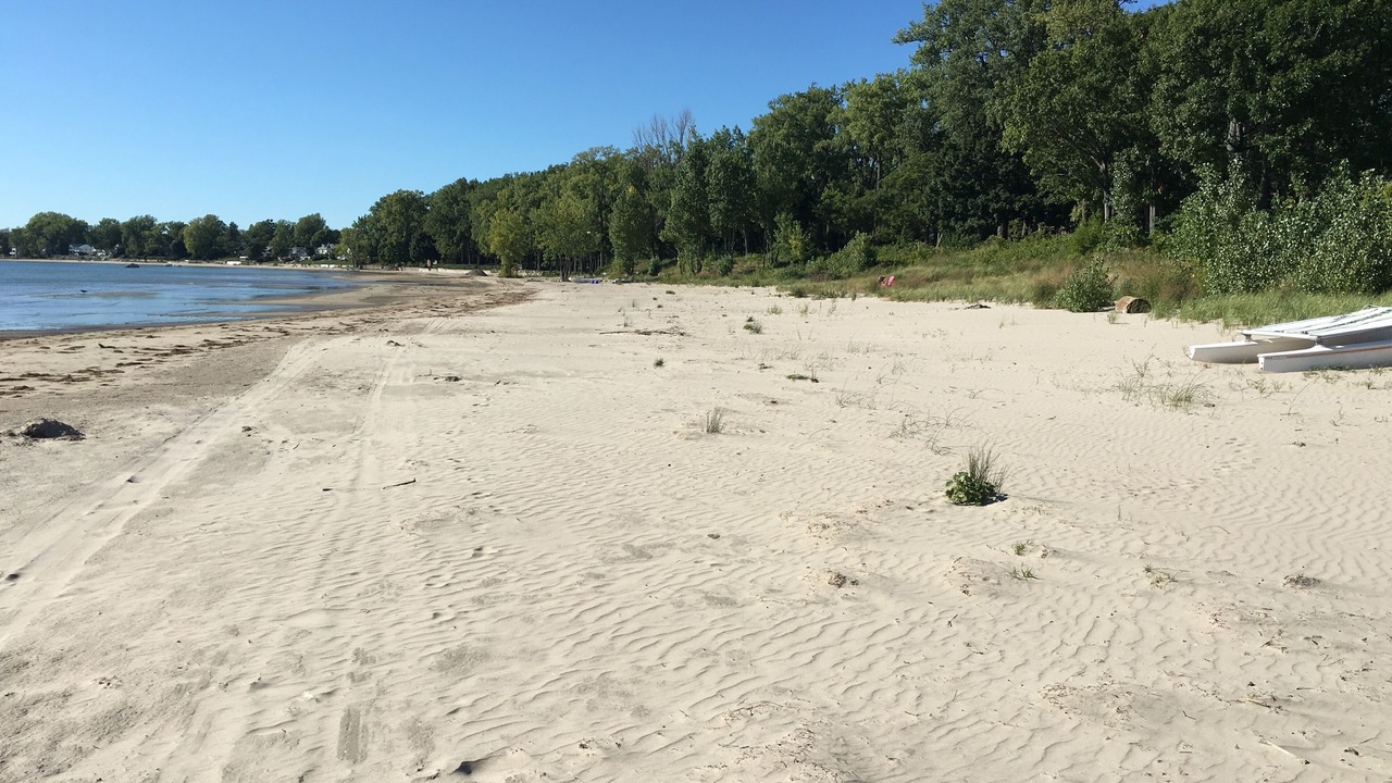 Photo of Others in Waverly Beach