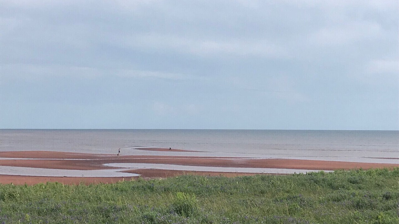 Photo of Others in Augustine Cove