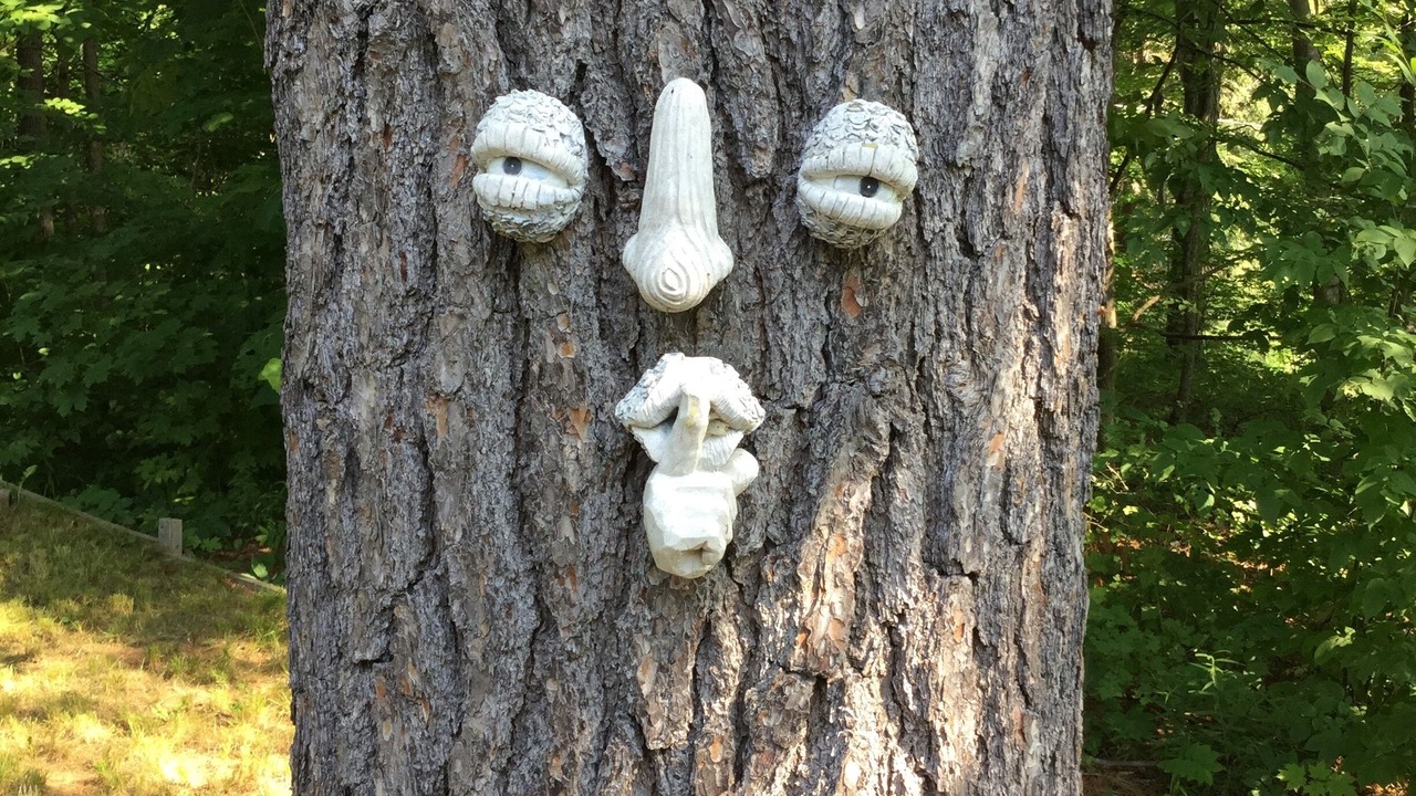 Photo of Others in Frontenac