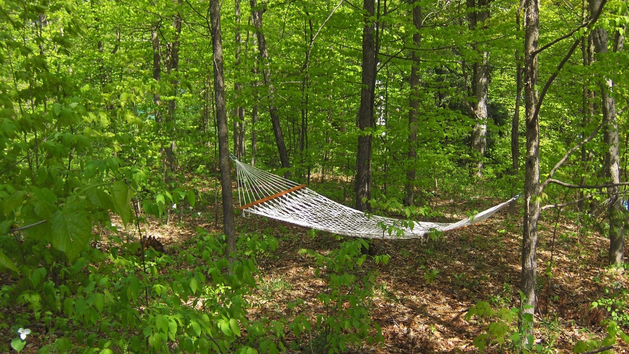 Photo of Others in Frontenac