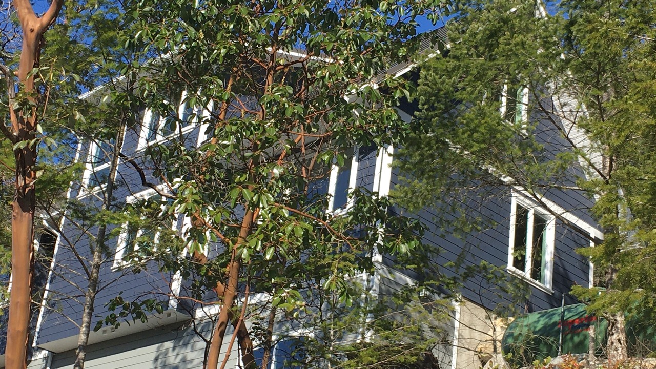 Photo of Outdoor in Garden Bay