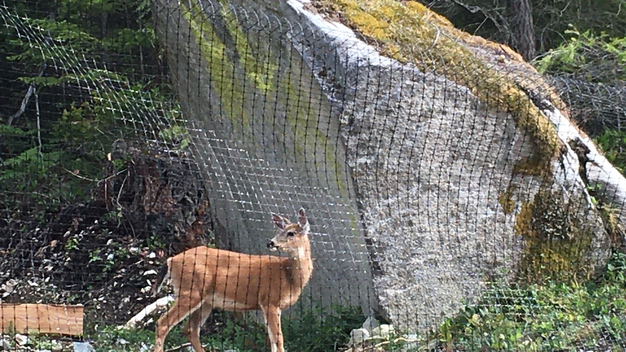 Photo of Outdoor in Garden Bay