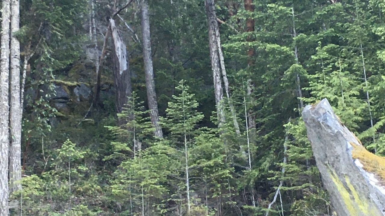 Photo of Outdoor in Garden Bay