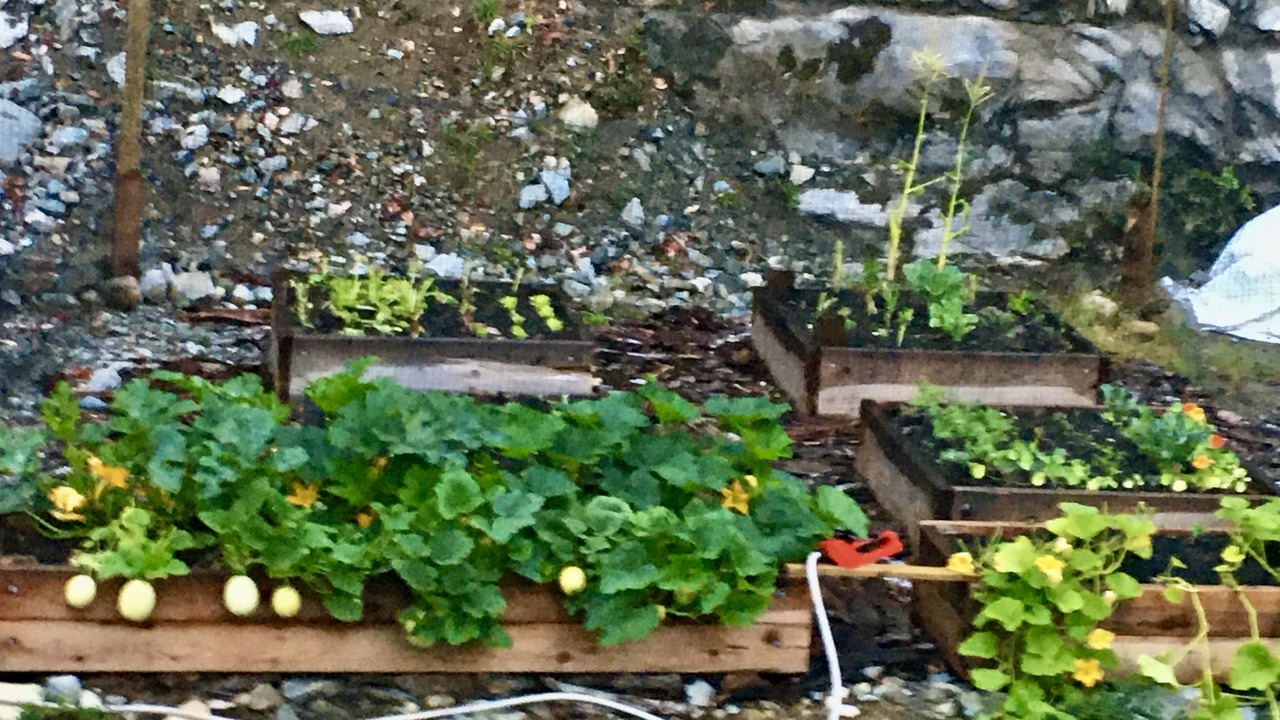 Photo of Outdoor in Garden Bay