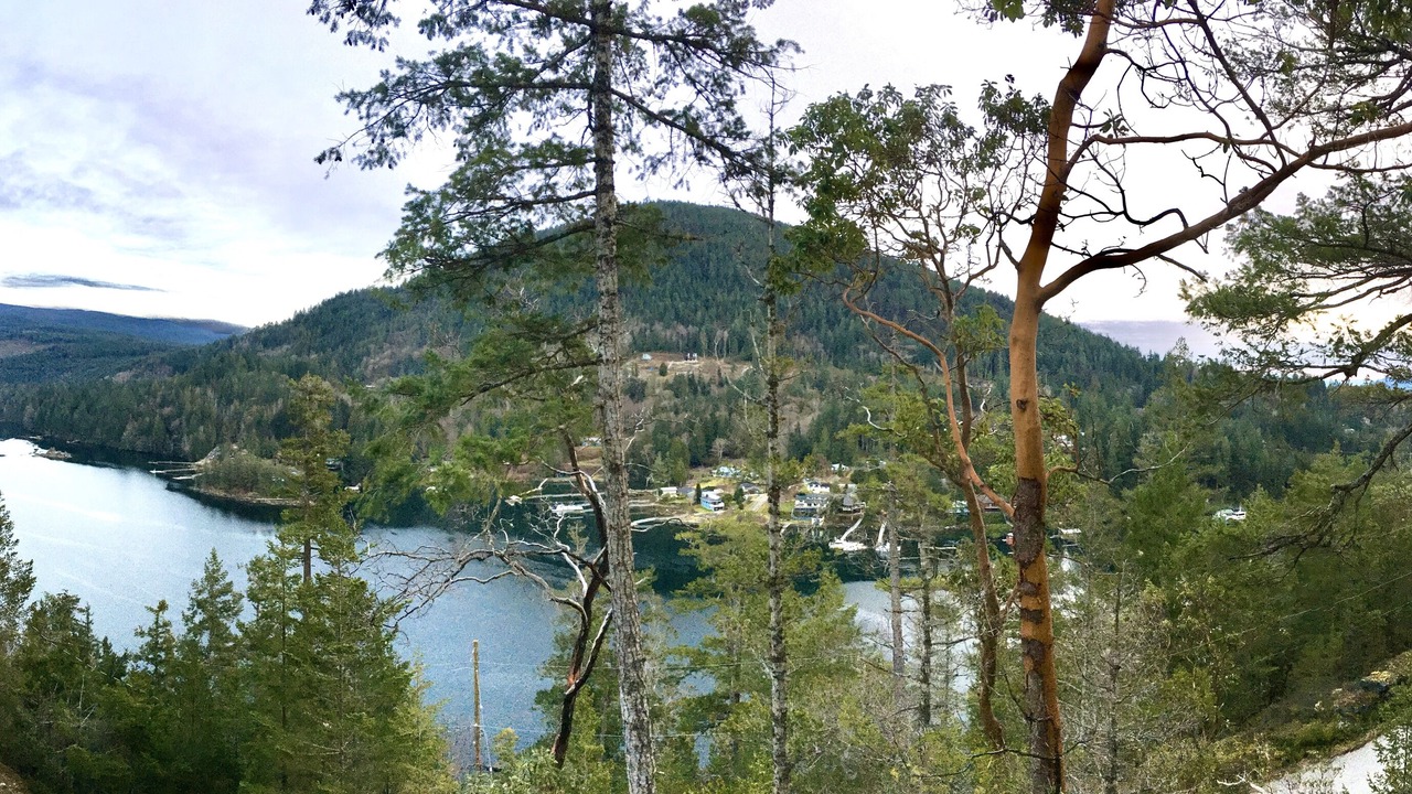 Photo of Outdoor in Garden Bay