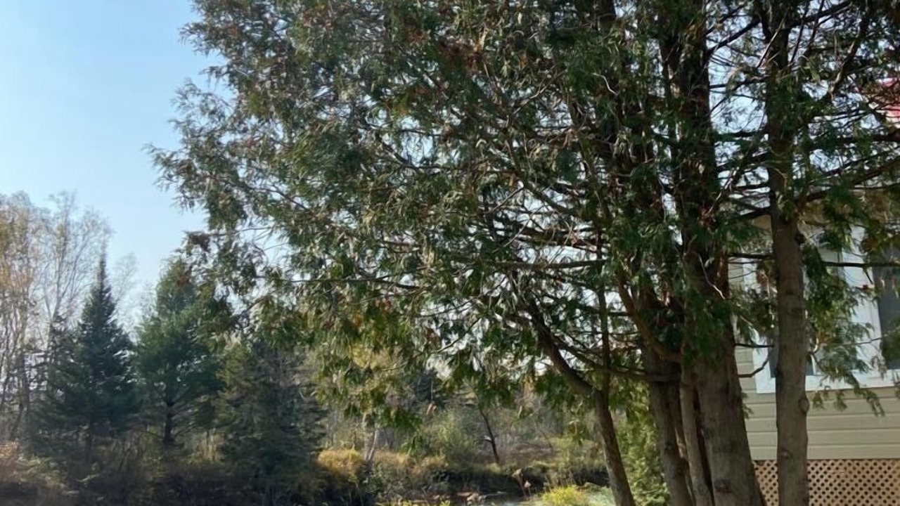 Photo of Outdoor in Val David