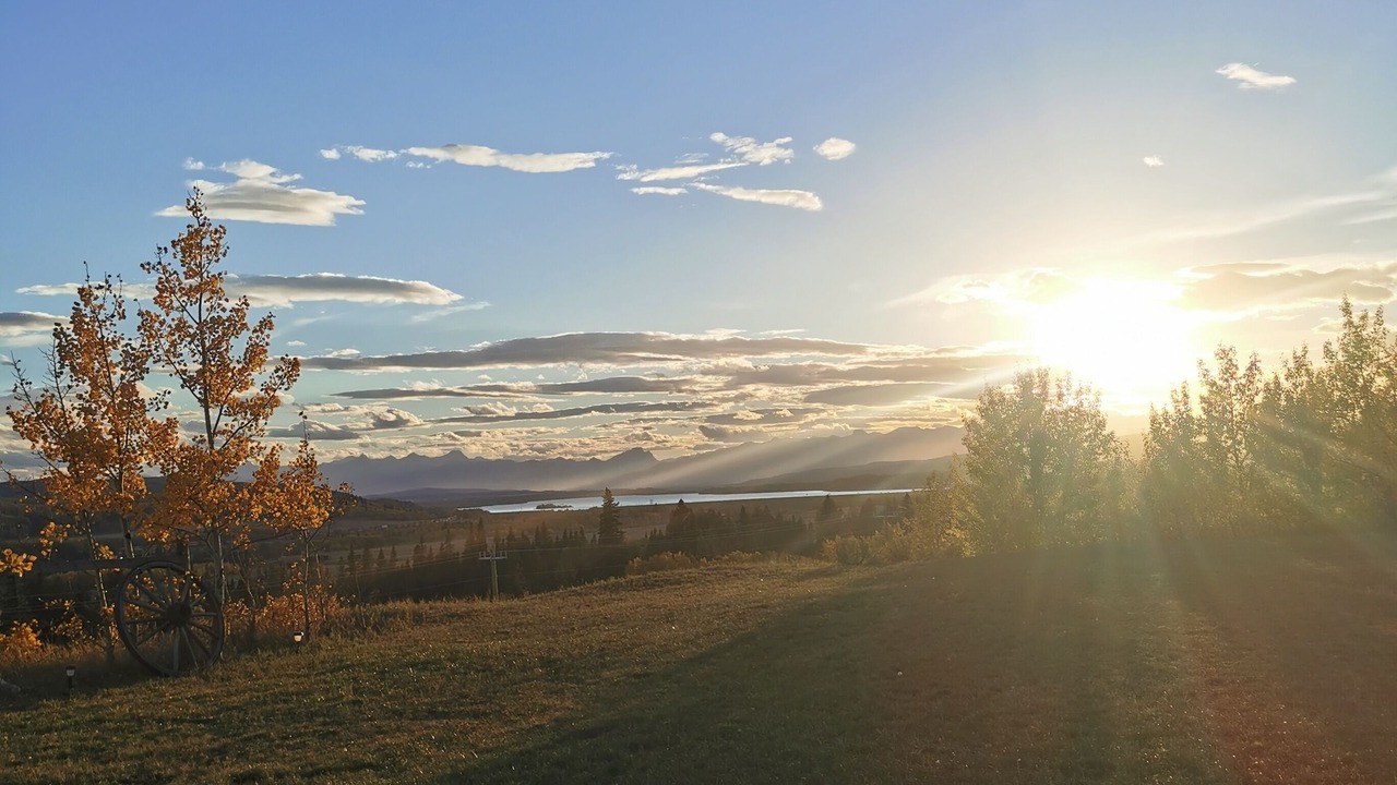 Photo of Others in Calgary