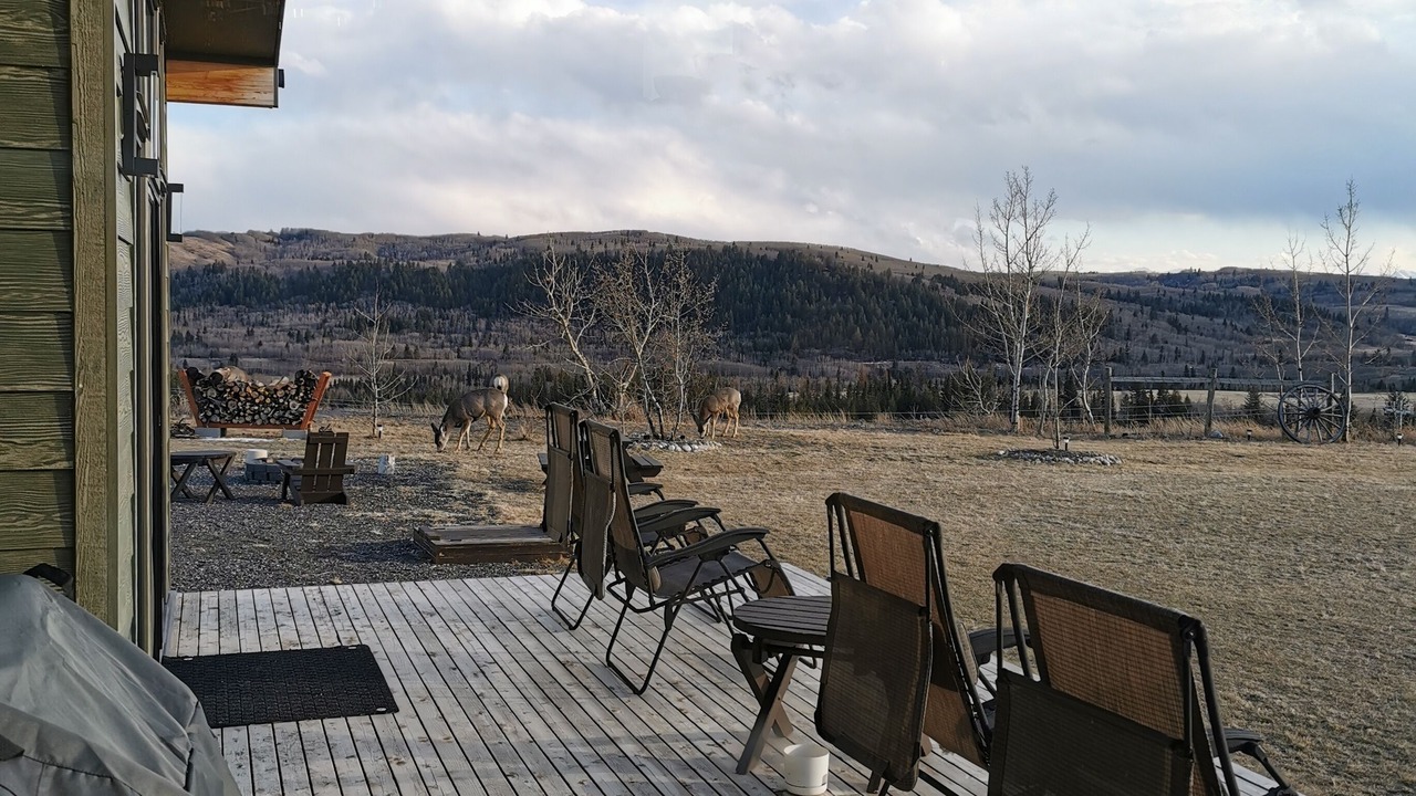 Photo of Patio Balcony in Calgary