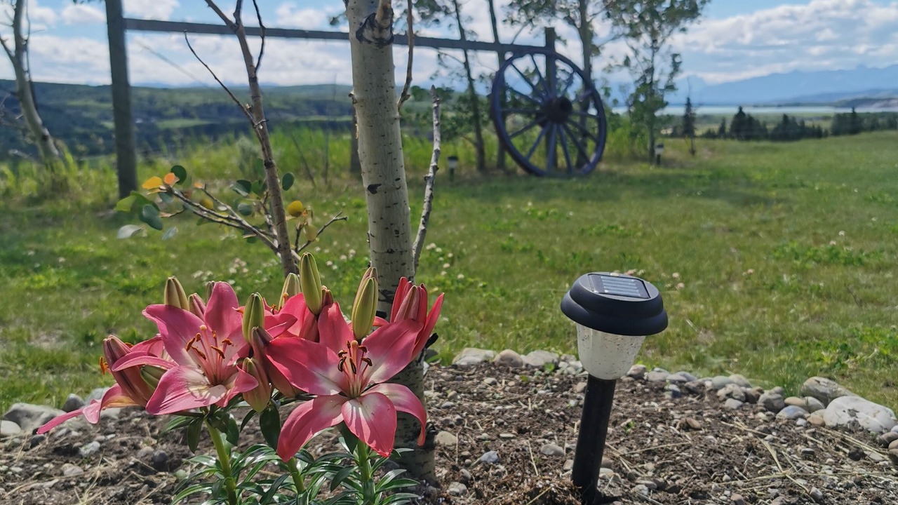 Photo of Outdoor in Calgary