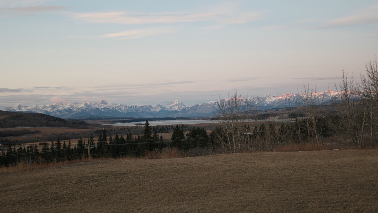 Photo of Others in Calgary