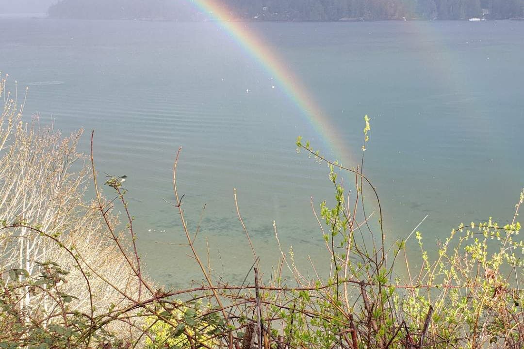 Photo of Others in Sooke
