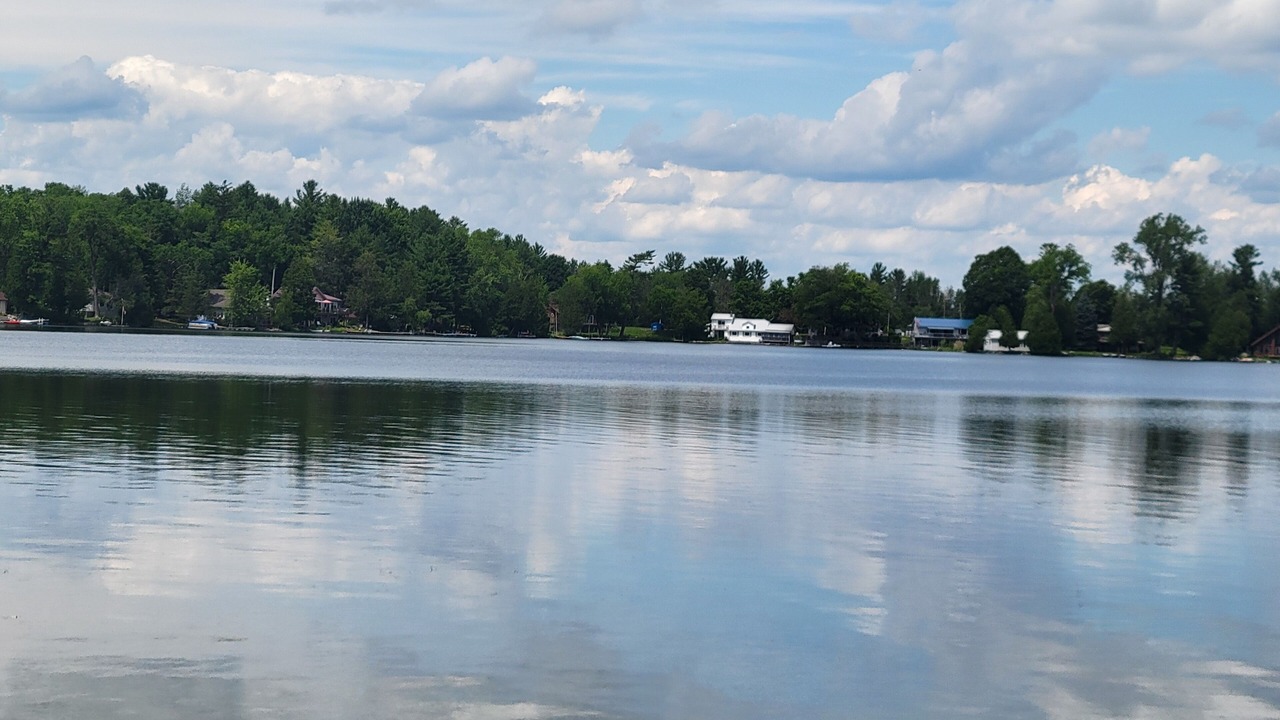 Photo of Others in Quinte West