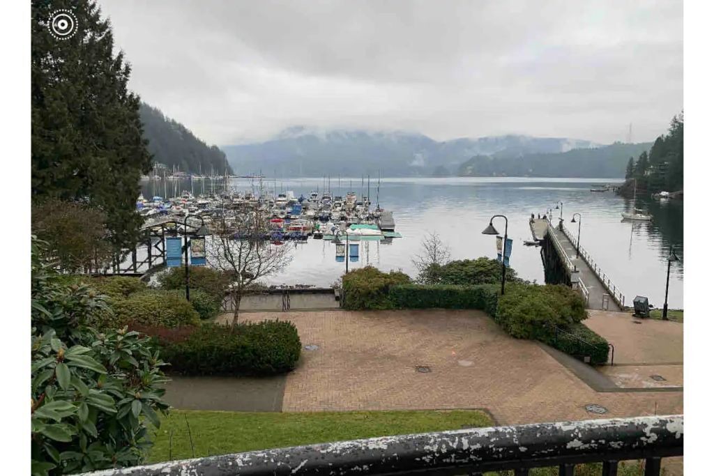 Photo of Others in Deep Cove