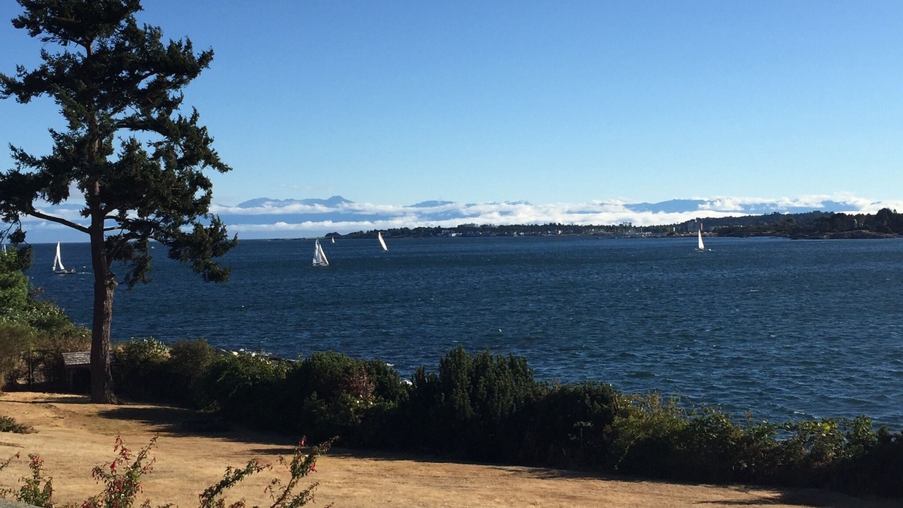 Photo of Others in Saanich East