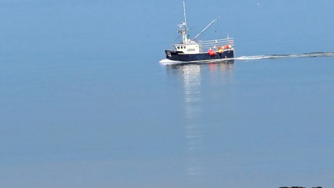 Photo of Others in Annapolis County