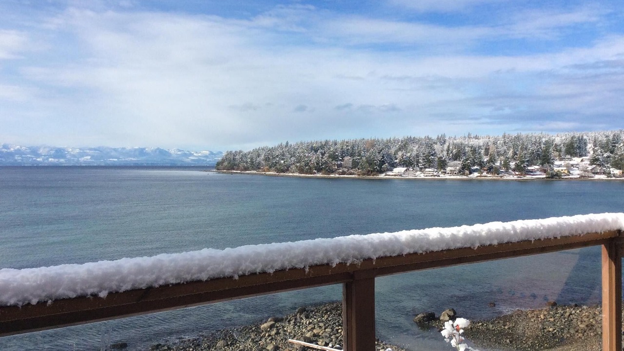 Photo of Outdoor in Gillies Bay