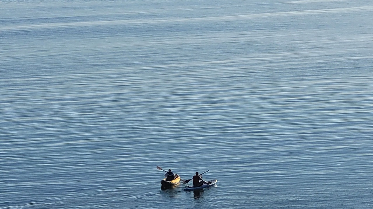 Photo of Others in Gillies Bay