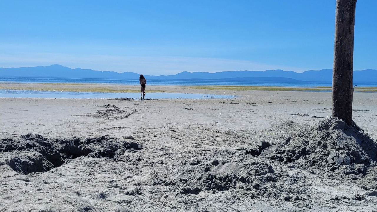 Photo of Others in Gillies Bay
