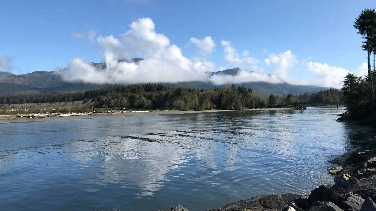 Photo of Others in Port Renfrew