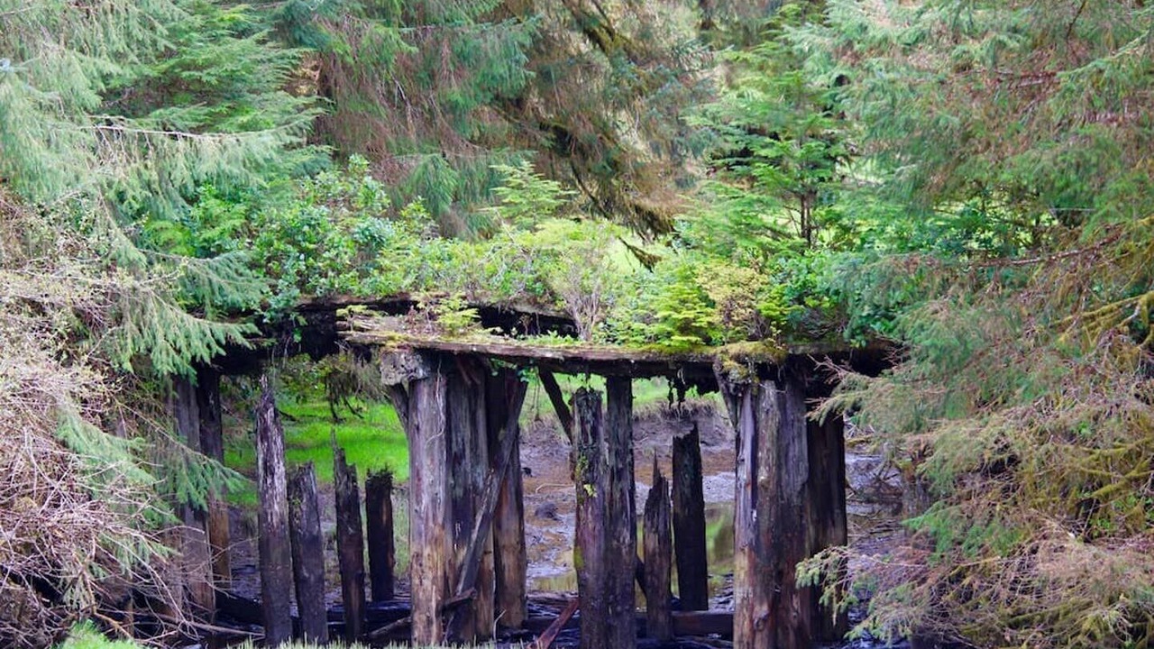 Photo of Others in Port Renfrew