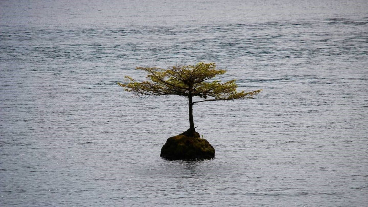 Photo of Outdoor in Port Renfrew