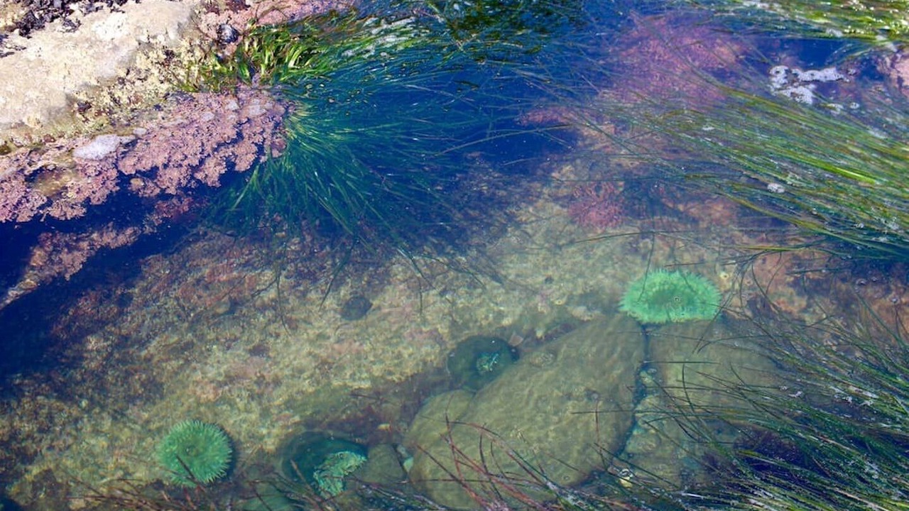 Photo of Outdoor in Port Renfrew