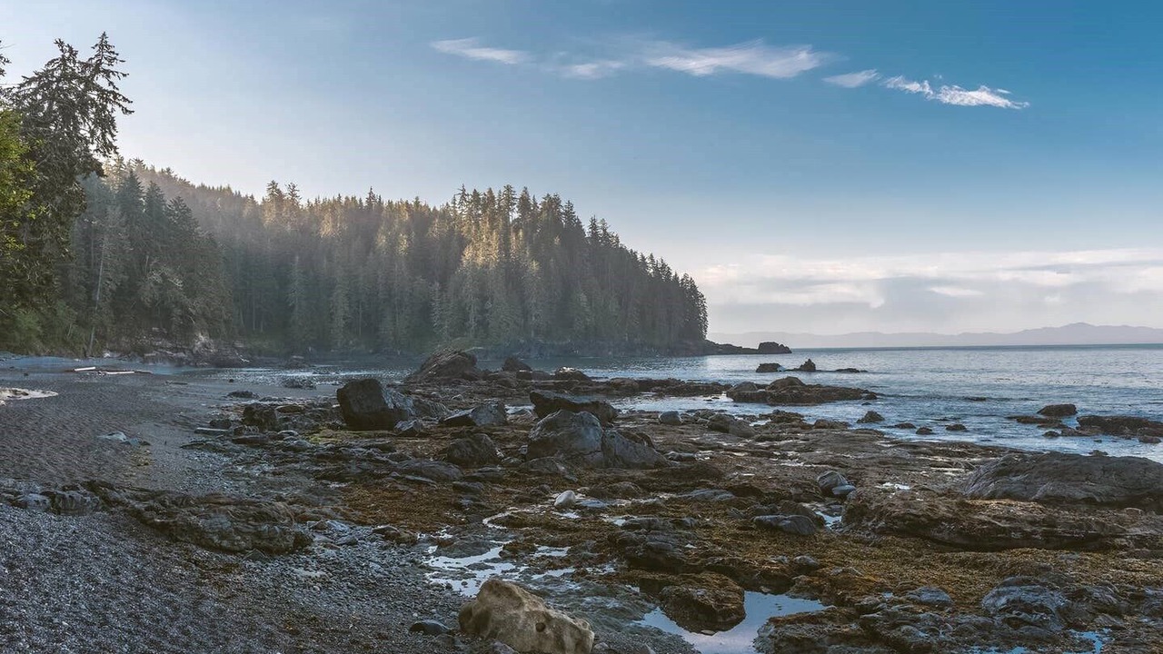 Photo of Others in Port Renfrew