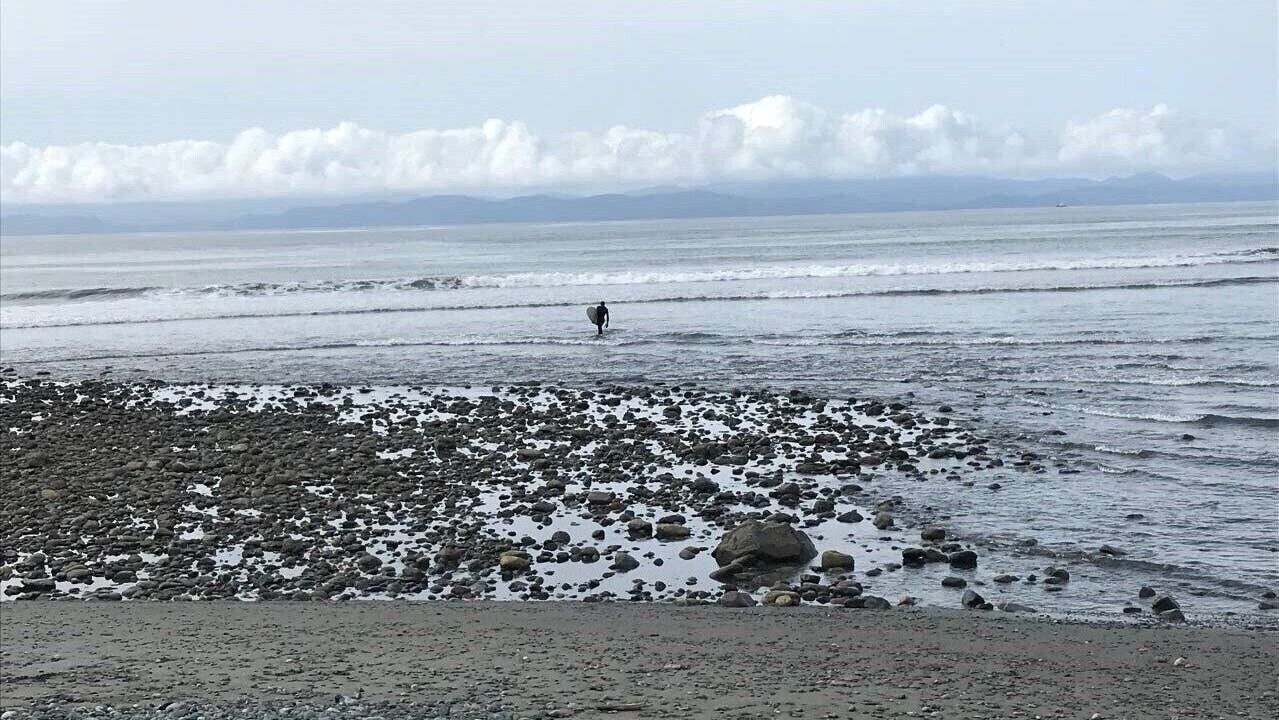 Photo of Others in Port Renfrew