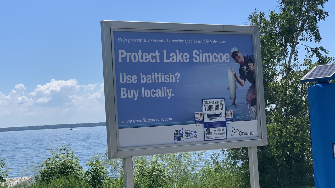 Photo of Outdoor in Alcona