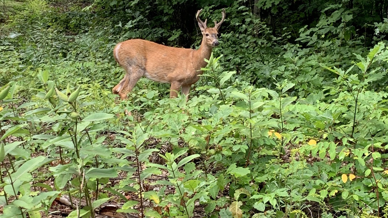 Photo of Outdoor in Otter Lake