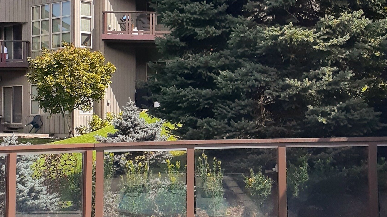 Photo of Others in Blackcomb