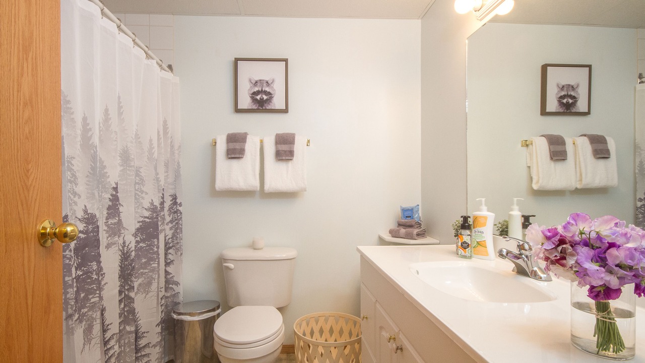 Photo of Bathroom in East Kootenay
